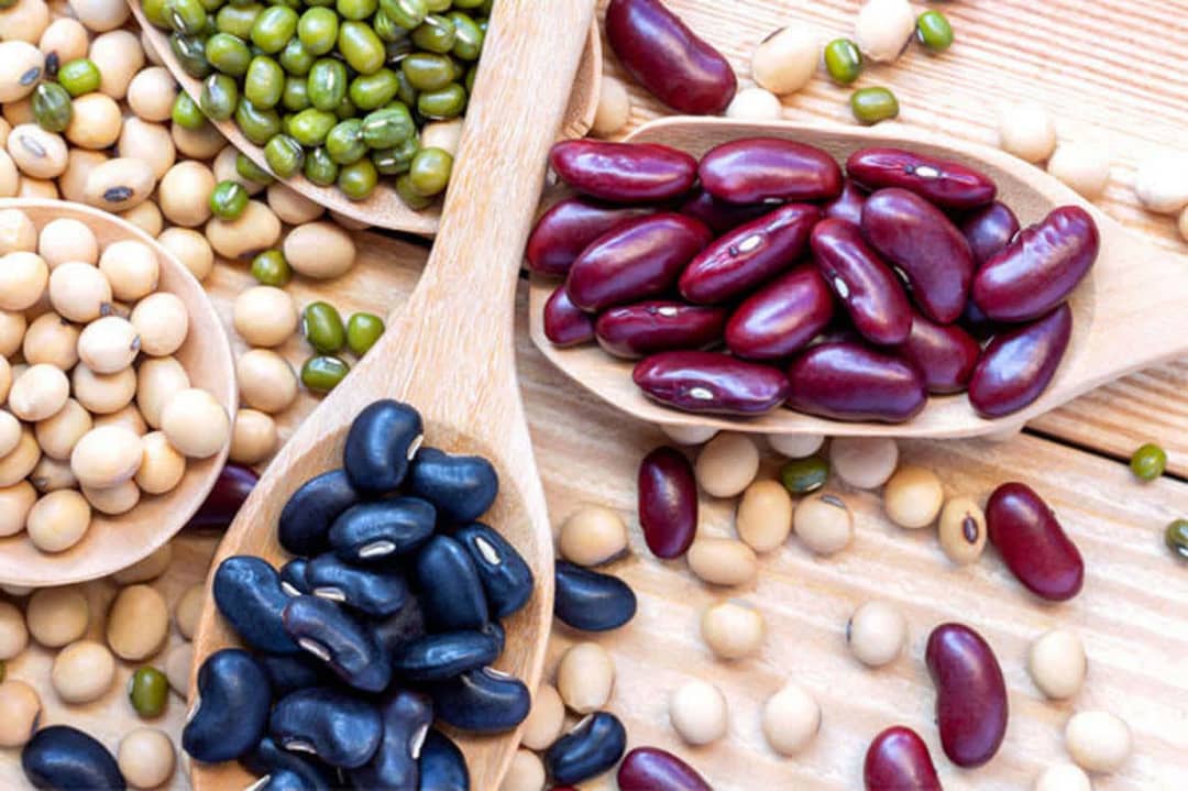 لوبيا (نام علمي: Phaseolus vulgaris) نام يک گونه از سرده لوبيا است که با نام‌هاي لوبياي معمولي و لوبياي فرانسوي نيز شناخته مي‌شود. انواع لوبيا شامل :سبز،چيتي ،چشم‌بلبلي ،سفيد، قرمز،سياه، کشاورزي ،سويا مي‌باشد.